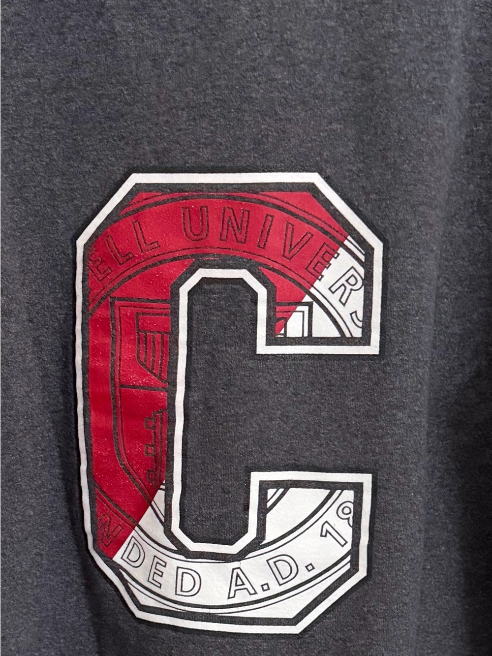 Vintage Cornell University Founded AD 1865 Adult Unisex Small Gray Sweatshirt - Picture 5 of 5